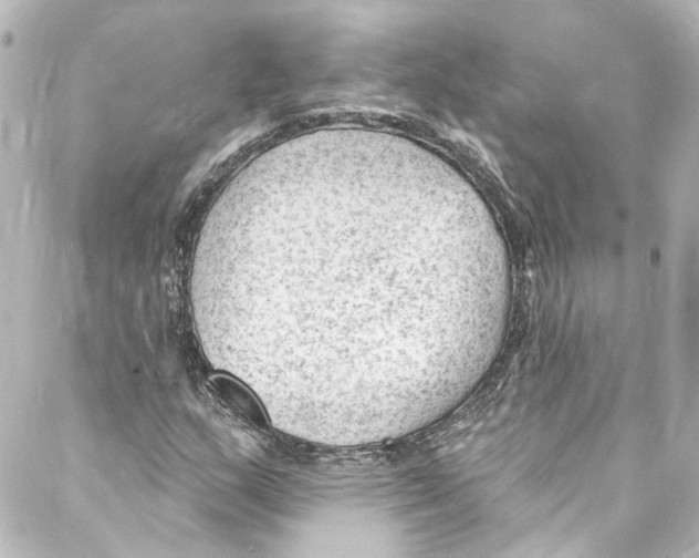 X0000087031159200705141915