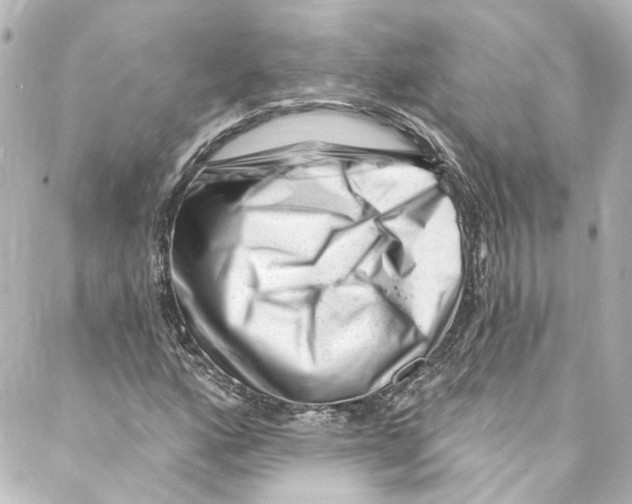 X0000087031160200705141915