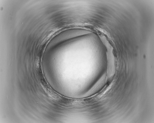 X0000087031161200705141915