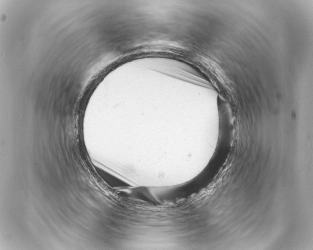 X0000087031164200705141915