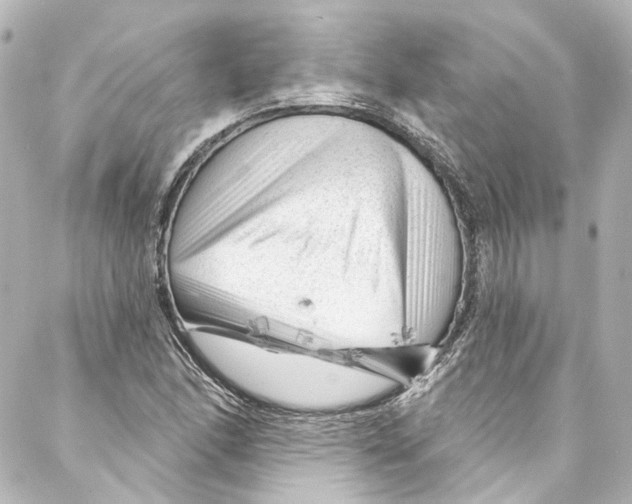 X0000087031166200705141915