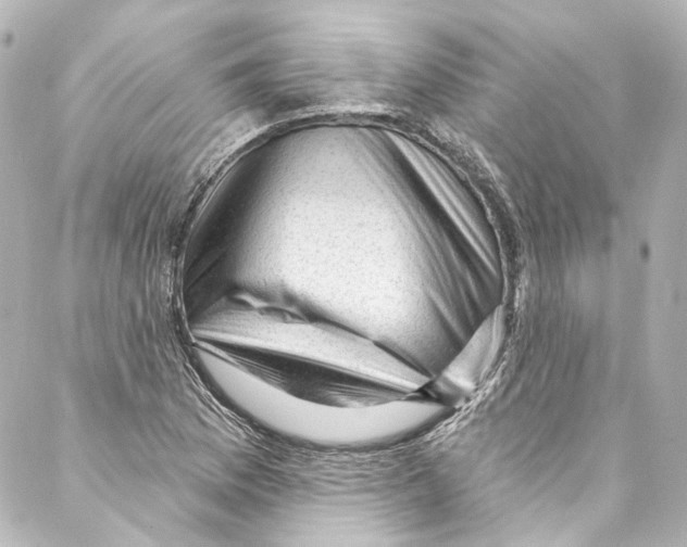 X0000087031169200705141915