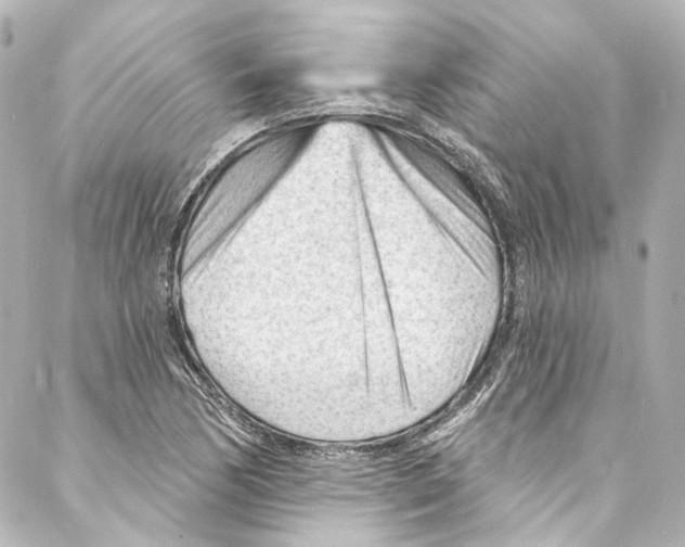 X0000087031170200705141915