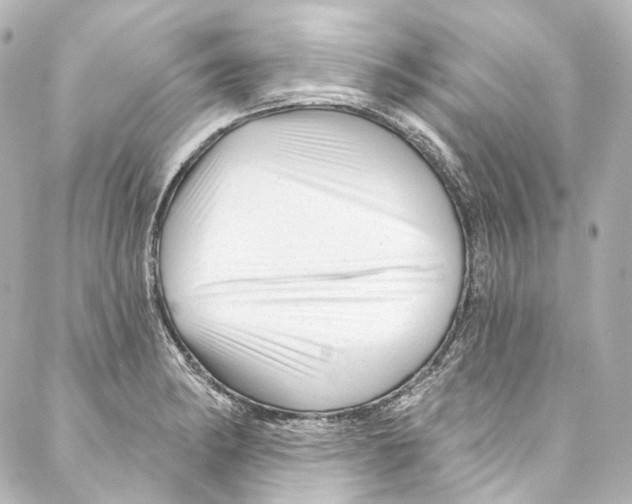 X0000087031182200705141914