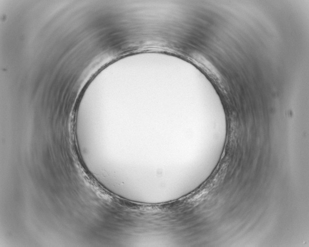 X0000087031190200705141914