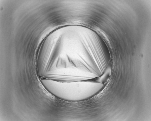 X0000087031192200705141914