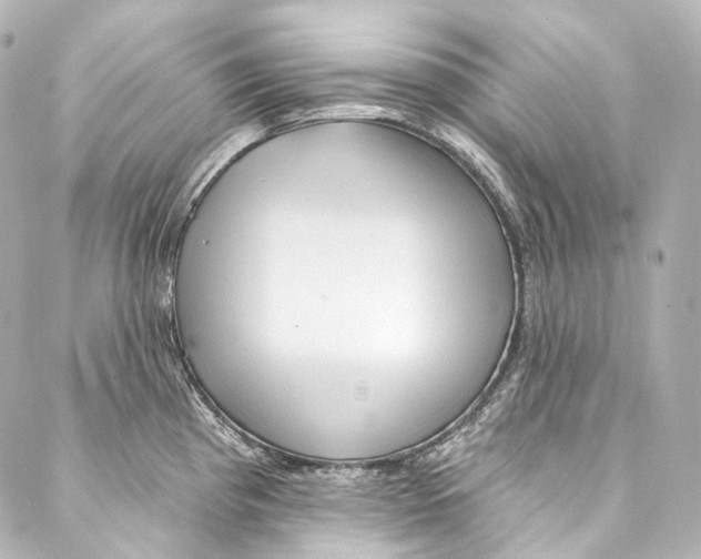 X0000087031193200705141914