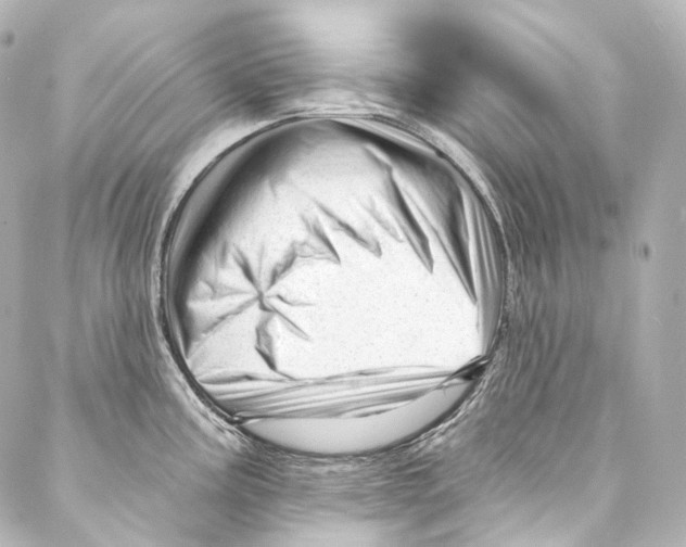 X0000087031195200705141914