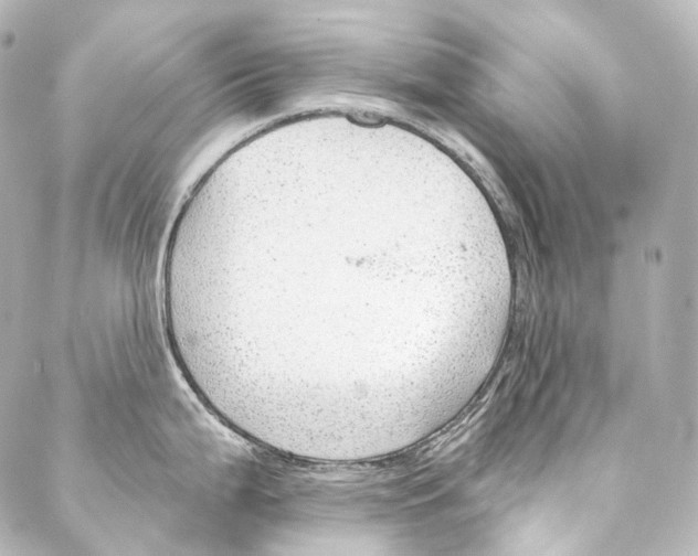 X0000087031199200705141914