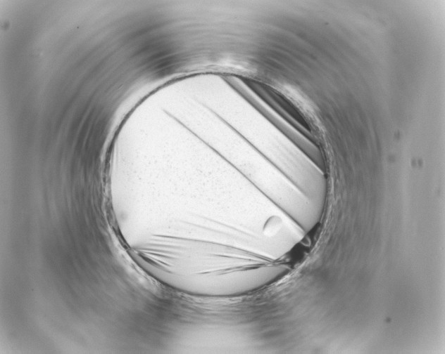 X0000087031200200705141914