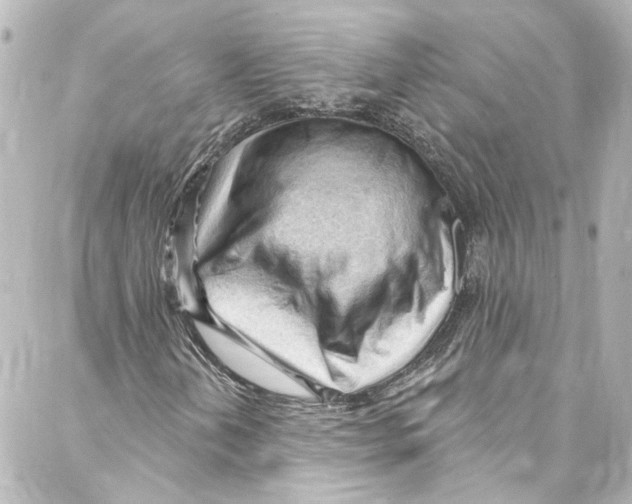 X0000087031202200705141913