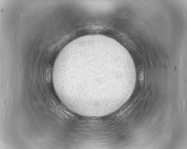 X0000087031204200705141913