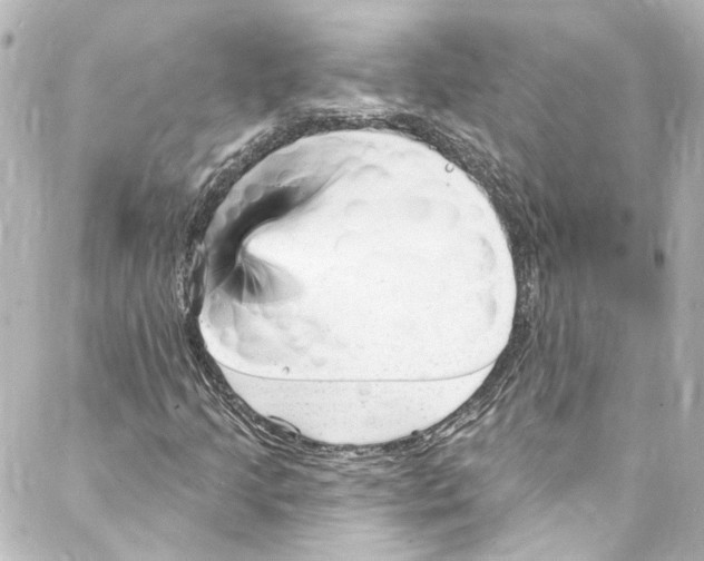 X0000087031205200705141913