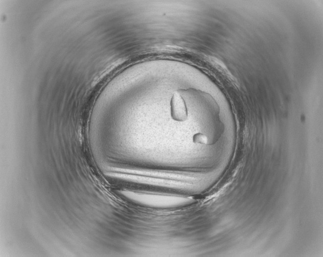 X0000087031209200705141913