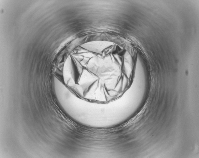 X0000087031210200705141913