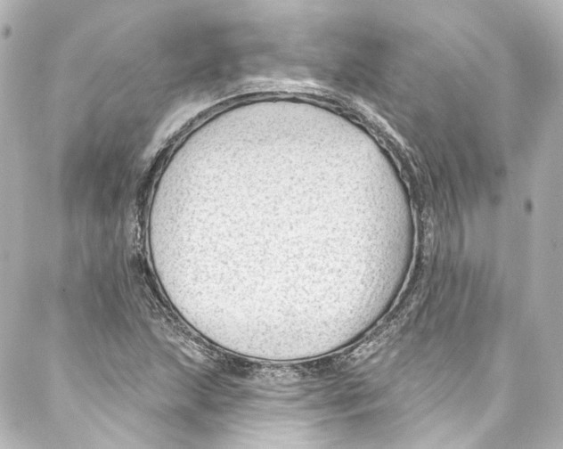 X0000087031215200705141913