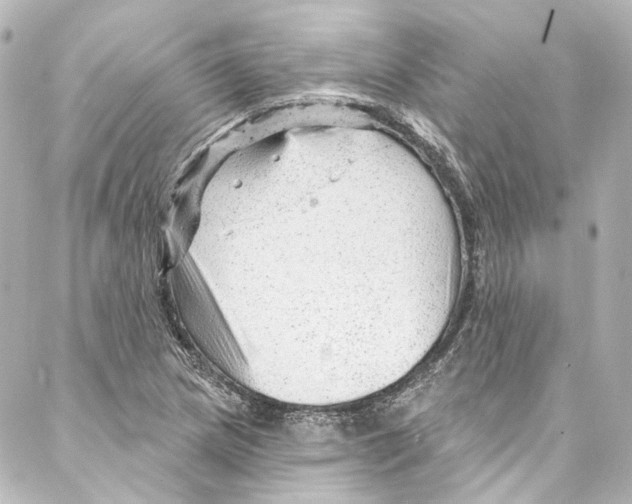 X0000087031217200705141913