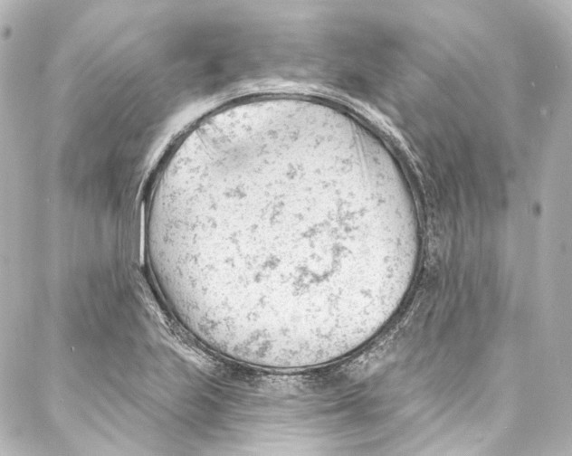 X0000087031223200705141914