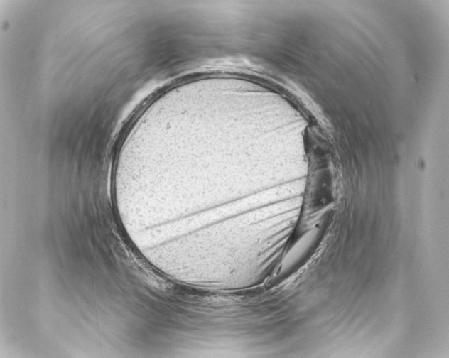 X0000087031224200705141914