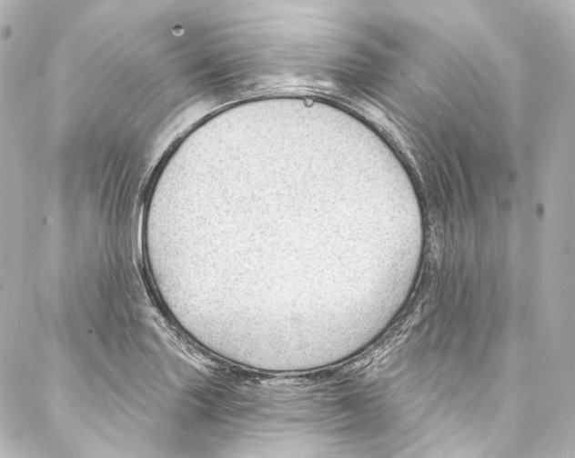 X0000087031227200705141914