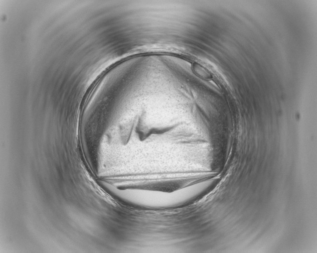 X0000087031228200705141914