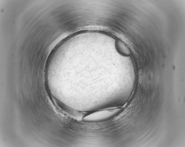 X0000087031229200705141914