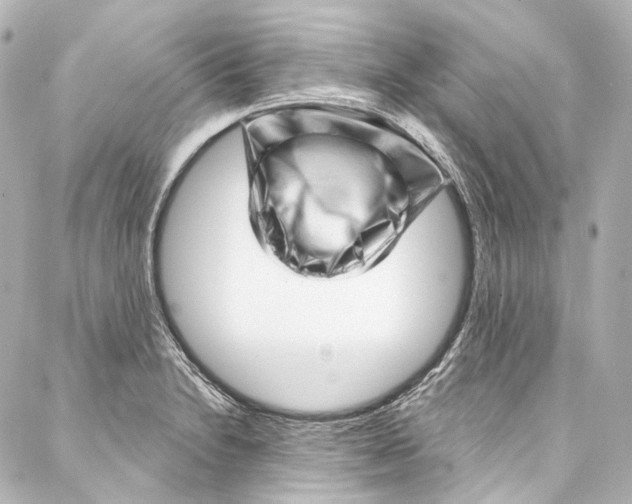 X0000087031230200705141914