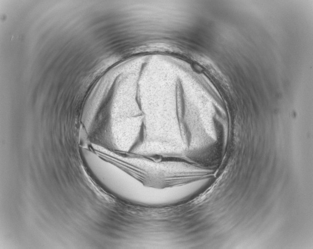 X0000087031233200705141914