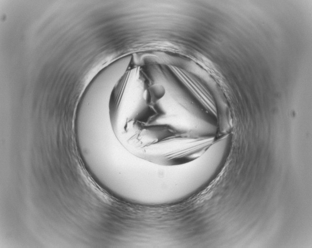 X0000087031234200705141914