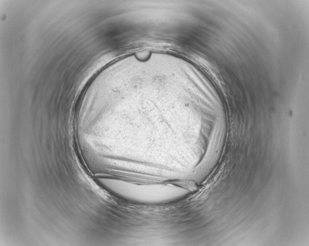 X0000087031235200705141914