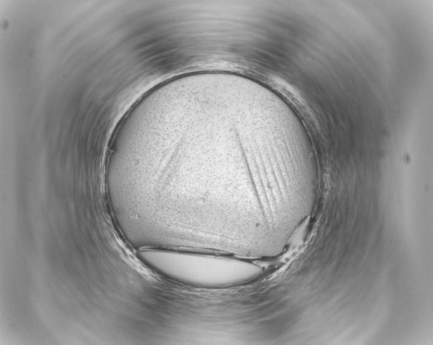 X0000087031236200705141914