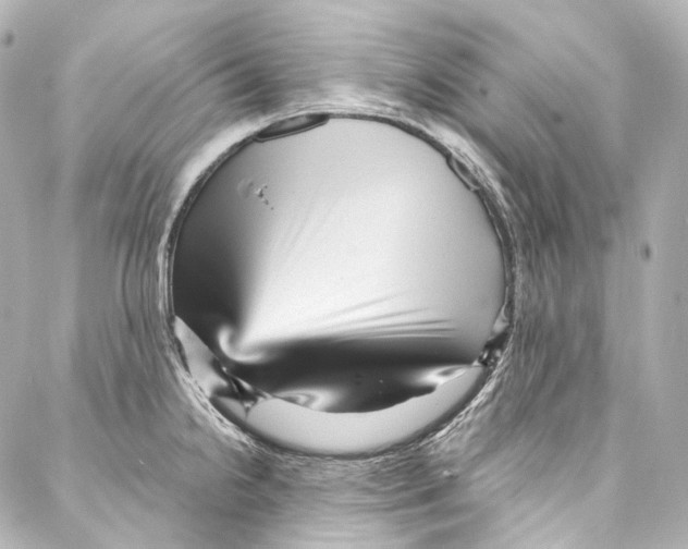 X0000087031238200705141914