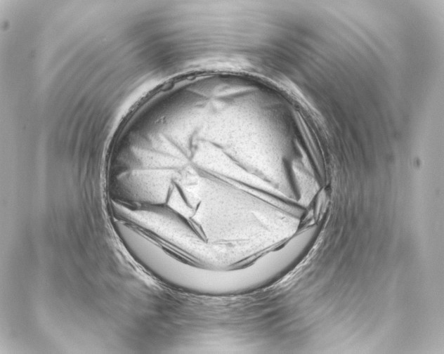 X0000087031240200705141914