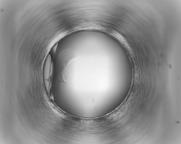 X0000087031242200705141914