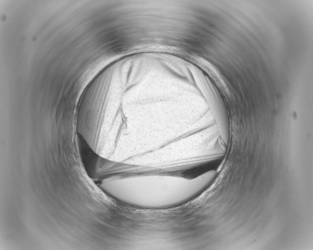 X0000087031244200705141914