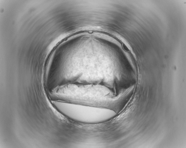 X0000087031245200705141914