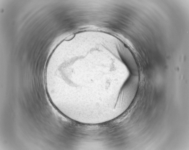 X0000087031247200705141914