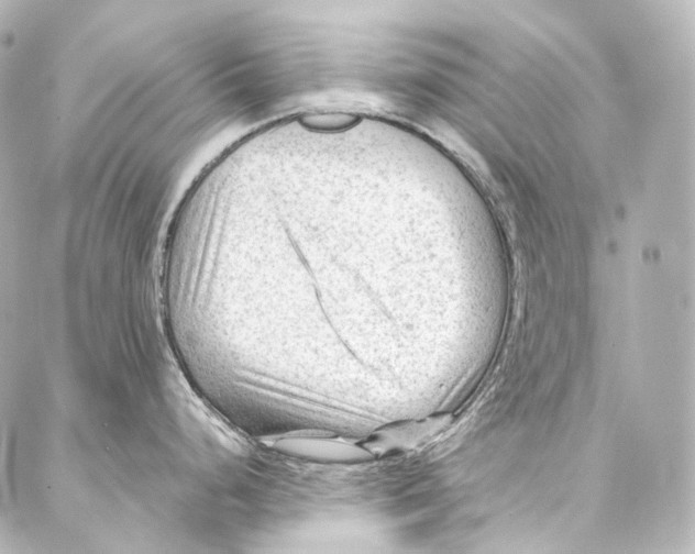 X0000087031248200705141914