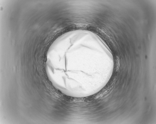 X0000087031249200705141913