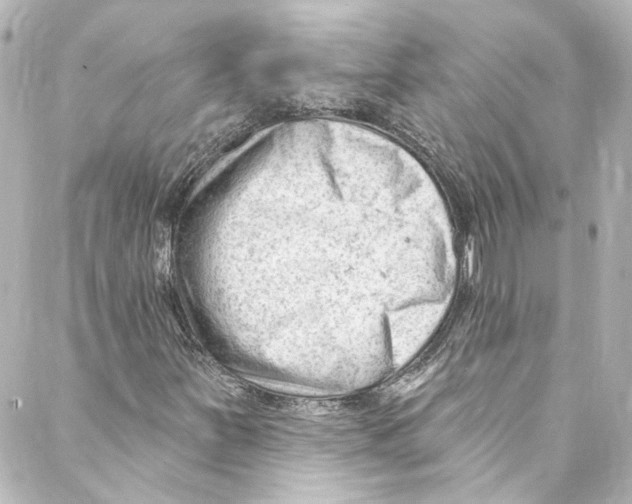 X0000087031251200705141913