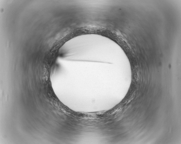 X0000087031253200705141913