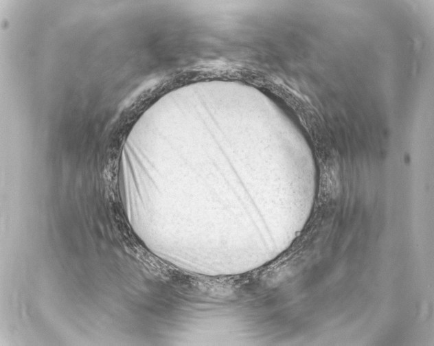 X0000087031254200705141913