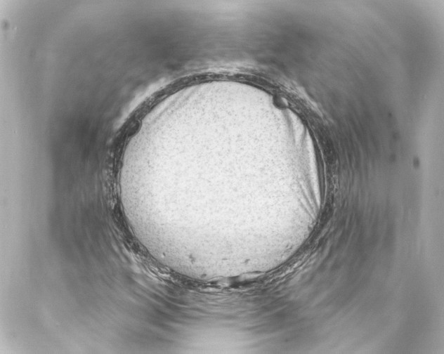 X0000087031256200705141913