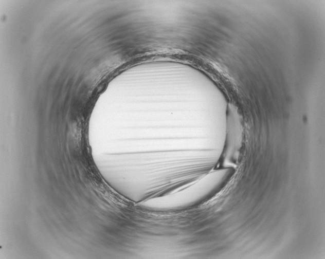 X0000087031257200705141913