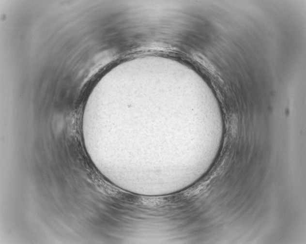 X0000087031258200705141913