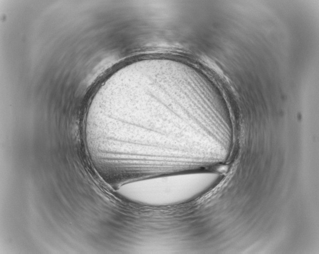 X0000087031259200705141913