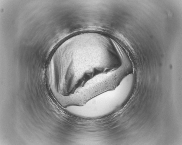 X0000087031260200705141913