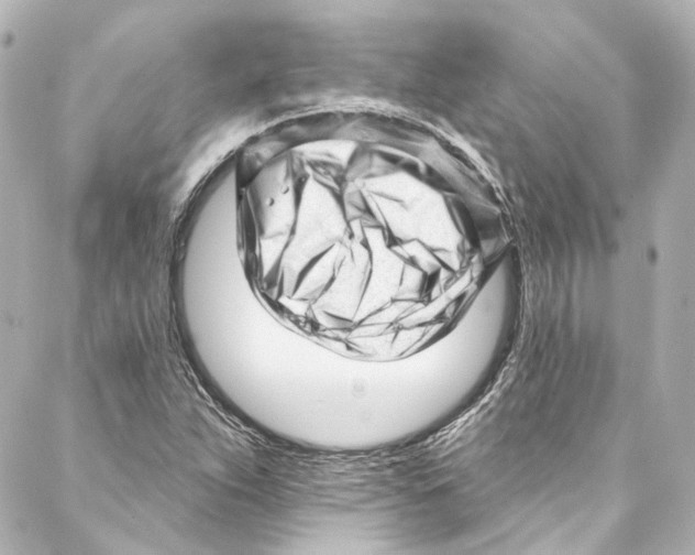 X0000087031263200705141913