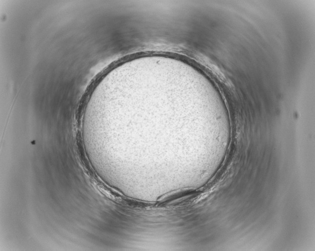 X0000087031264200705141913