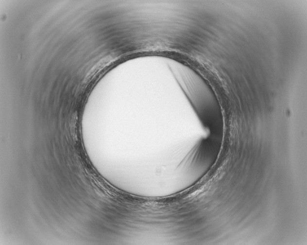 X0000087031265200705141913